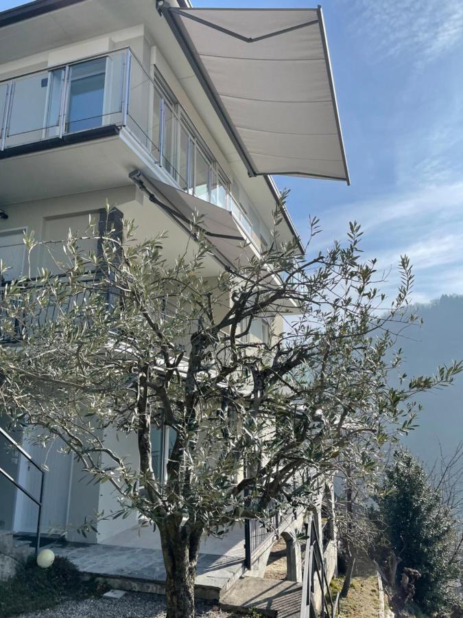 Apartamento Casa Colmegna Mit Traumhaften See- Und Bergblick Luino Exterior foto